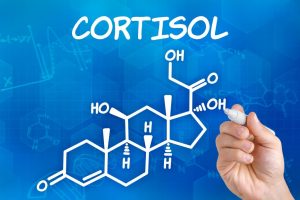 Kortizol