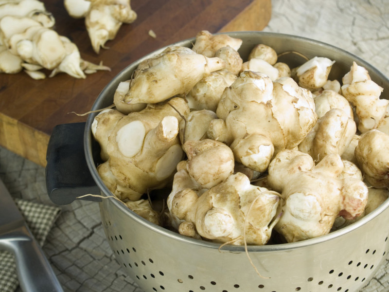 Garden fresh jerusalem artichokes in a stainless steel colander, some cut on a cutting board in the background. Helianthus tuberosus.