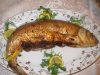 baliq levengisi