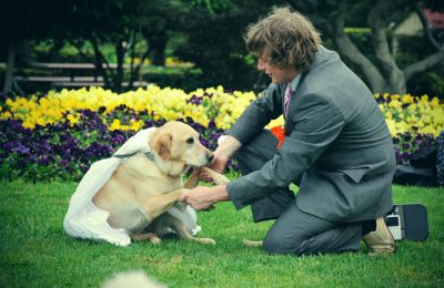 Joseph Guiso marries his labrador Honey. Photo Dave Noonan / The Chronicle