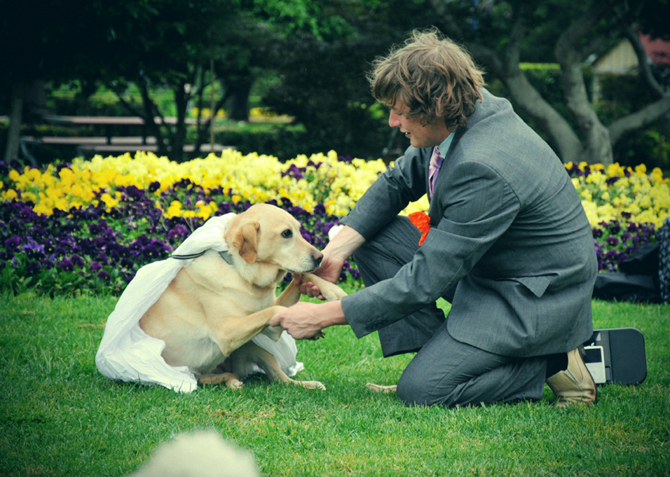 Joseph Guiso marries his labrador Honey. Photo Dave Noonan / The Chronicle