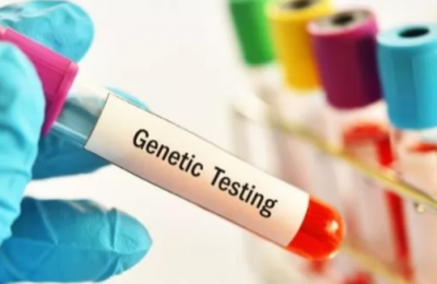 genetik