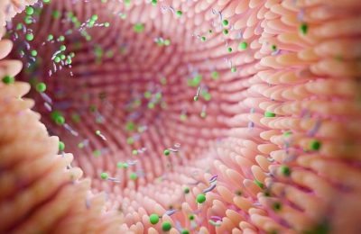 3ed40498f20dd665762f2ed5688f9a0b