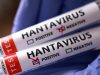 Hantavirus
