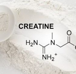 Kreatin