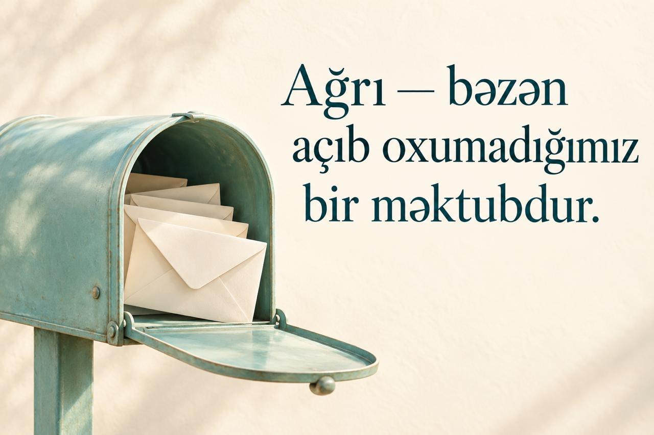 d816c1db-9f08-4f77-92bb-430f8d837cf8